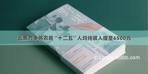 云南力争将农民“十二五”人均纯收入提至6500元