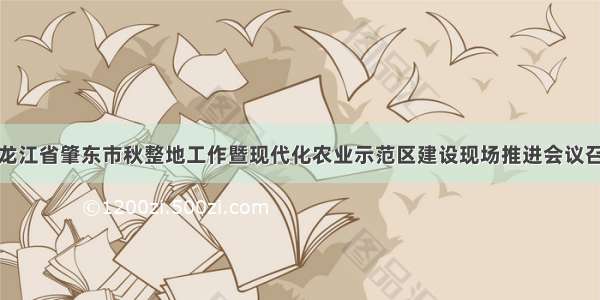 黑龙江省肇东市秋整地工作暨现代化农业示范区建设现场推进会议召开