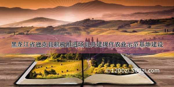 黑龙江省逊克县积极推进场县共建现代农业示范基地建设