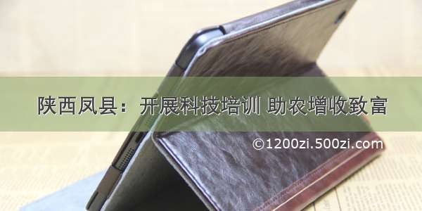 陕西凤县：开展科技培训 助农增收致富