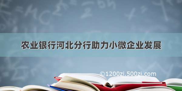 农业银行河北分行助力小微企业发展