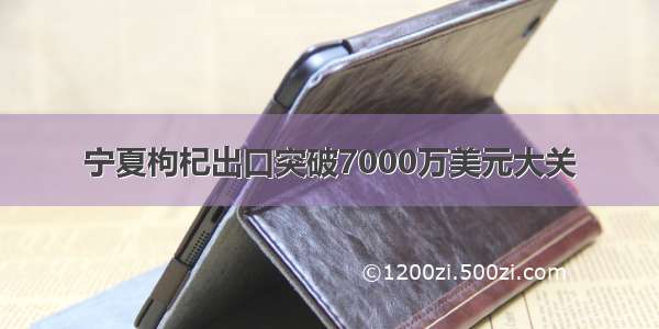 宁夏枸杞出口突破7000万美元大关