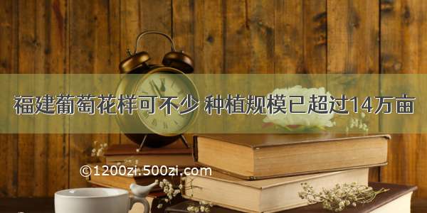 福建葡萄花样可不少 种植规模已超过14万亩