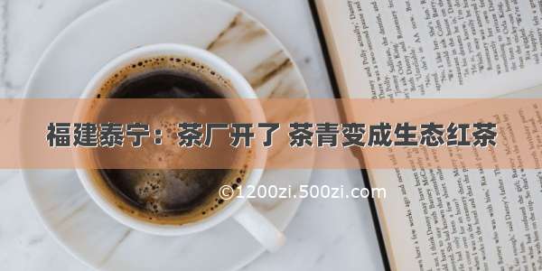 福建泰宁：茶厂开了 茶青变成生态红茶