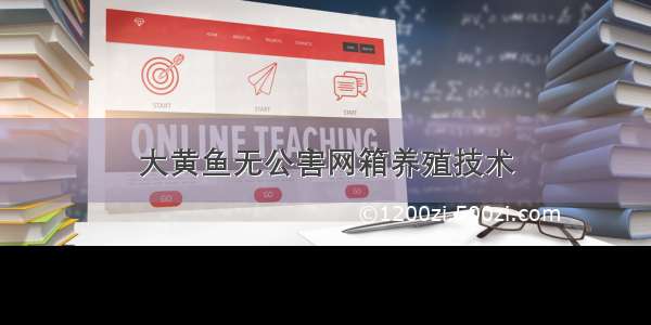 大黄鱼无公害网箱养殖技术