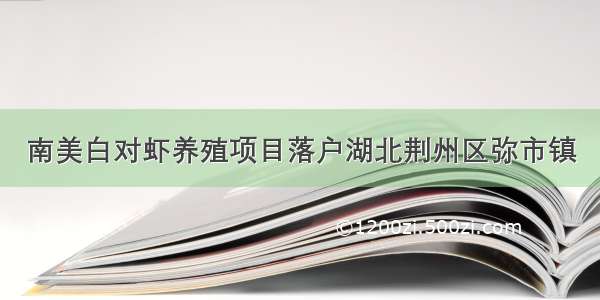 南美白对虾养殖项目落户湖北荆州区弥市镇