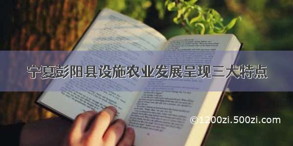 宁夏彭阳县设施农业发展呈现三大特点