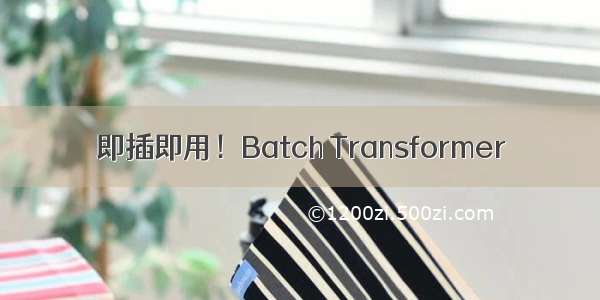 即插即用！Batch Transformer