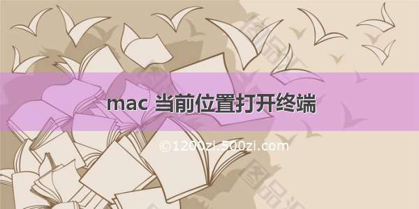 mac 当前位置打开终端