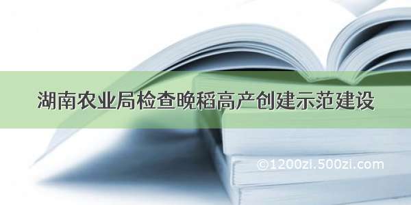 湖南农业局检查晚稻高产创建示范建设