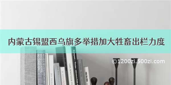 内蒙古锡盟西乌旗多举措加大牲畜出栏力度