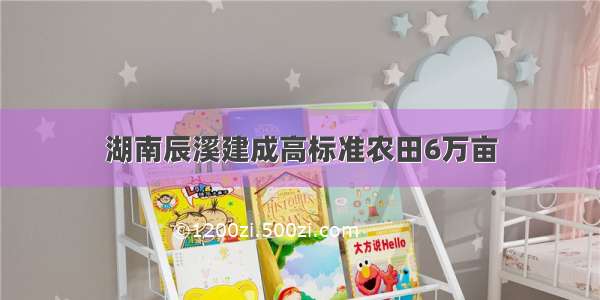 湖南辰溪建成高标准农田6万亩