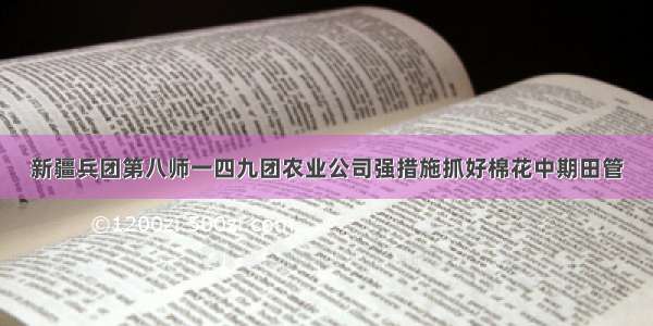 新疆兵团第八师一四九团农业公司强措施抓好棉花中期田管