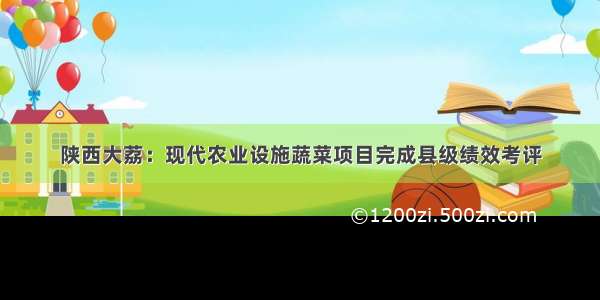 陕西大荔：现代农业设施蔬菜项目完成县级绩效考评