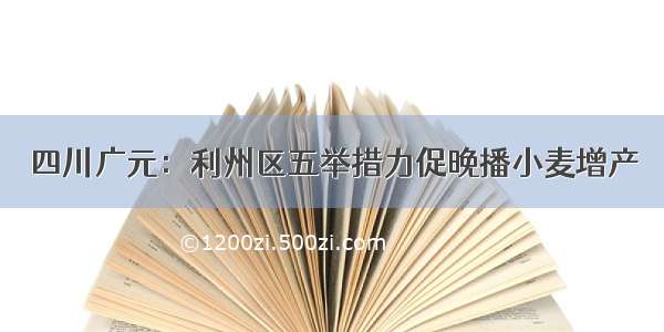 四川广元：利州区五举措力促晚播小麦增产