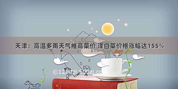 天津：高温多雨天气推高菜价 洋白菜价格涨幅达155%