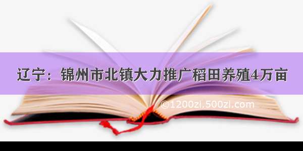 辽宁：锦州市北镇大力推广稻田养殖4万亩