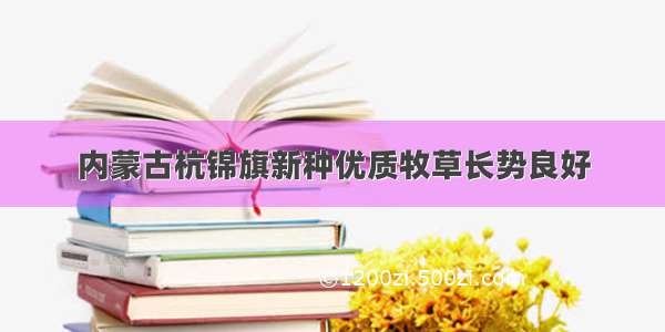 内蒙古杭锦旗新种优质牧草长势良好