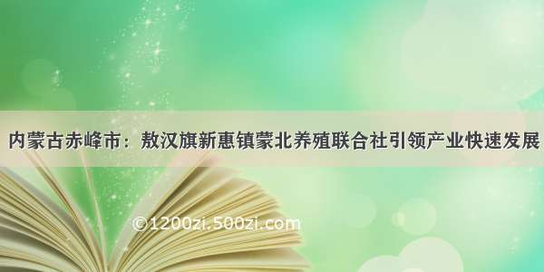 内蒙古赤峰市：敖汉旗新惠镇蒙北养殖联合社引领产业快速发展