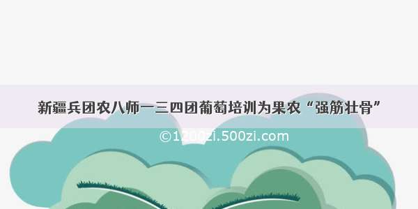 新疆兵团农八师一三四团葡萄培训为果农“强筋壮骨”