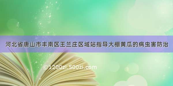 河北省唐山市丰南区王兰庄区域站指导大棚黄瓜的病虫害防治