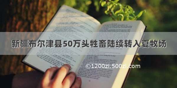 新疆布尔津县50万头牲畜陆续转入夏牧场