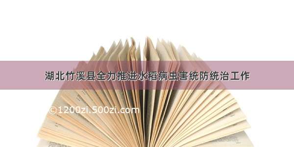 湖北竹溪县全力推进水稻病虫害统防统治工作