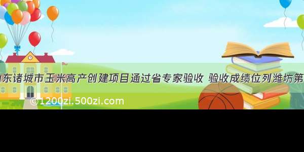 山东诸城市玉米高产创建项目通过省专家验收 验收成绩位列潍坊第一