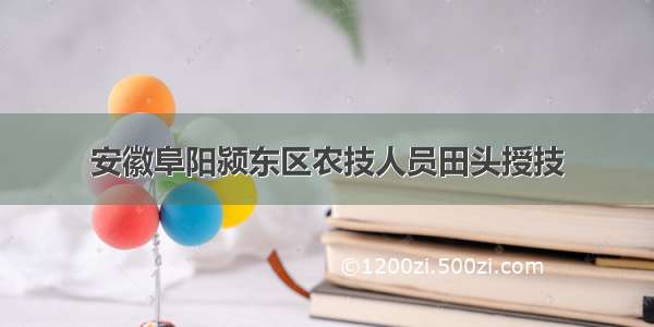 安徽阜阳颍东区农技人员田头授技