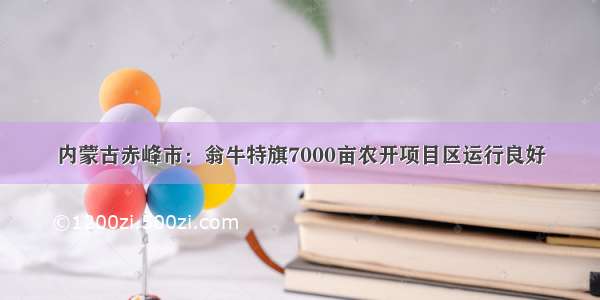 内蒙古赤峰市：翁牛特旗7000亩农开项目区运行良好