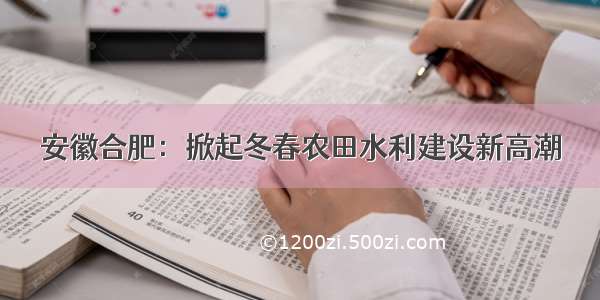 安徽合肥：掀起冬春农田水利建设新高潮