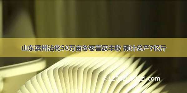 山东滨州沾化50万亩冬枣喜获丰收 预计总产7亿斤