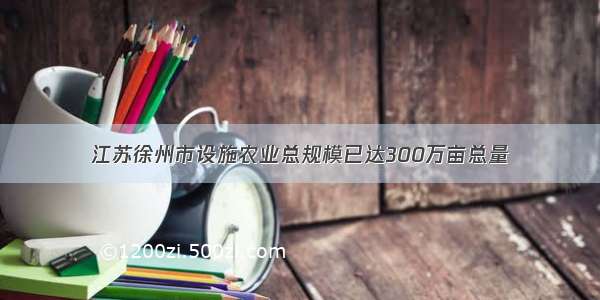 江苏徐州市设施农业总规模已达300万亩总量