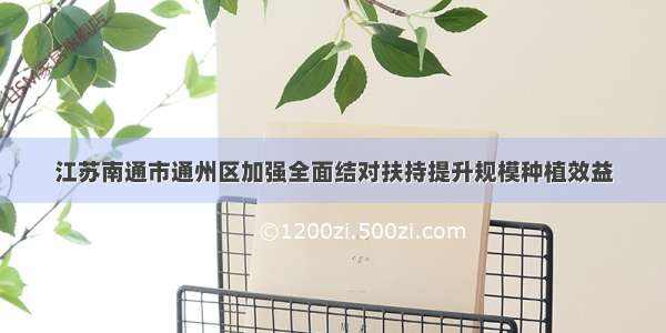 江苏南通市通州区加强全面结对扶持提升规模种植效益