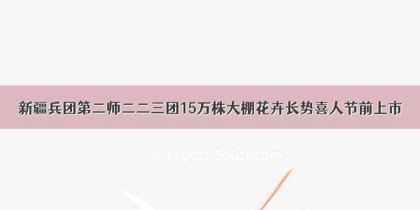 新疆兵团第二师二二三团15万株大棚花卉长势喜人节前上市