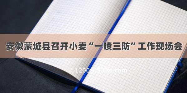 安徽蒙城县召开小麦“一喷三防”工作现场会