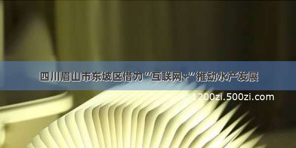 四川眉山市东坡区借力“互联网+”推动水产发展