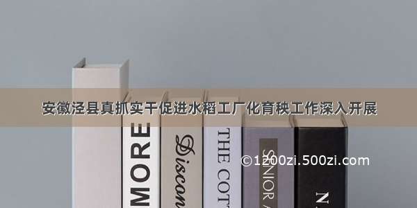 安徽泾县真抓实干促进水稻工厂化育秧工作深入开展