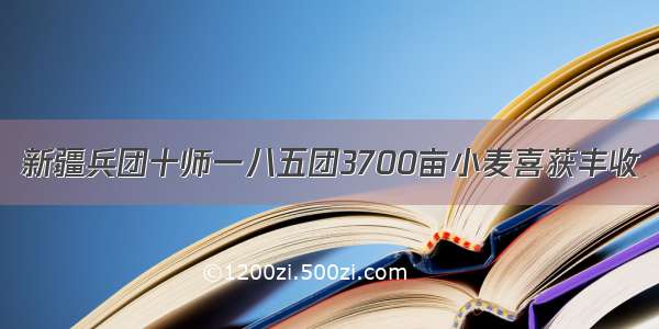 新疆兵团十师一八五团3700亩小麦喜获丰收