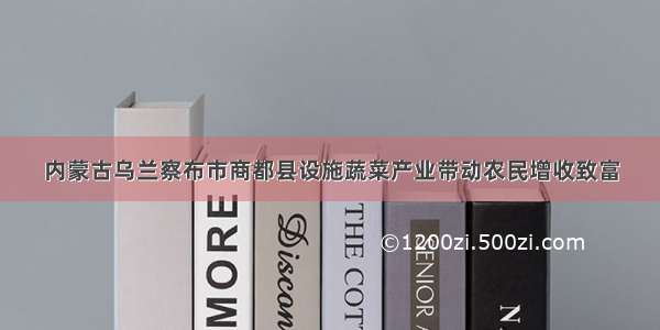 内蒙古乌兰察布市商都县设施蔬菜产业带动农民增收致富