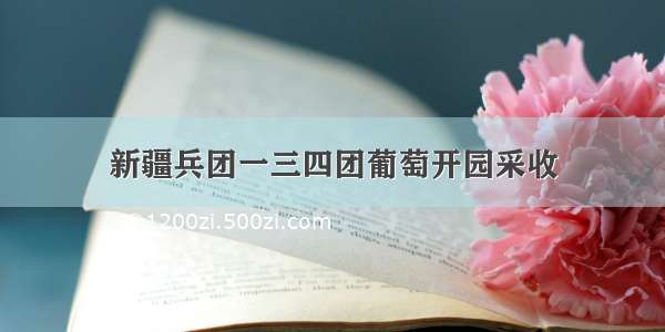 新疆兵团一三四团葡萄开园采收