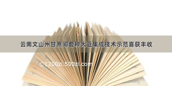 云南文山州甘蔗间套种大豆集成技术示范喜获丰收