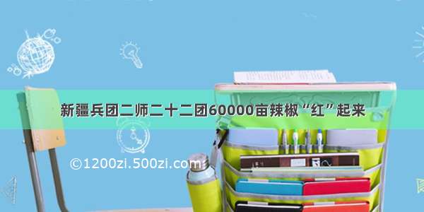 新疆兵团二师二十二团60000亩辣椒“红”起来