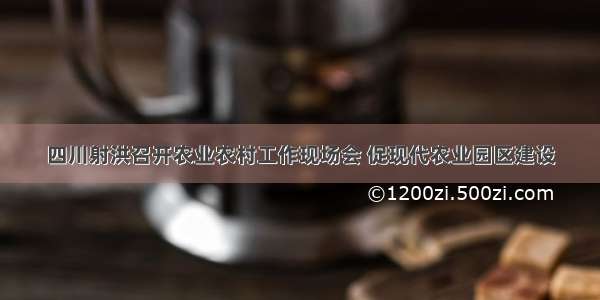 四川射洪召开农业农村工作现场会 促现代农业园区建设