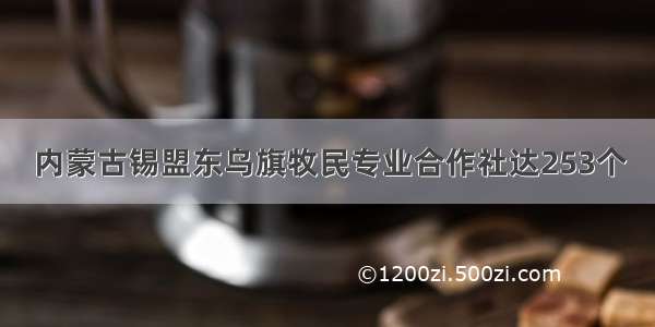 内蒙古锡盟东乌旗牧民专业合作社达253个