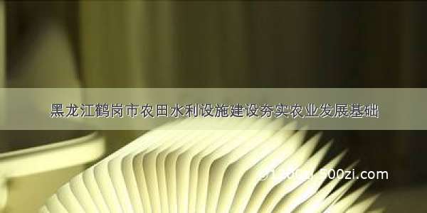 黑龙江鹤岗市农田水利设施建设夯实农业发展基础