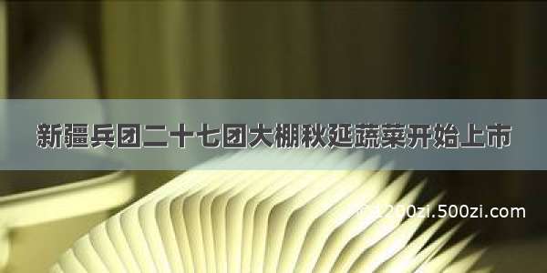 新疆兵团二十七团大棚秋延蔬菜开始上市