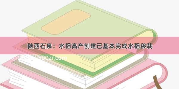 陕西石泉：水稻高产创建已基本完成水稻移栽