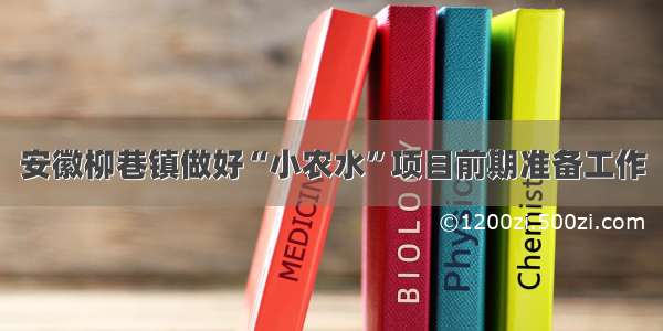 安徽柳巷镇做好“小农水”项目前期准备工作