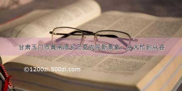 甘肃玉门市黄闸湾乡三夏农民新景象：从大忙到从容